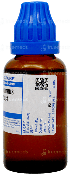 Sbl Strophanthus Hispidus Q Mother Tincture 30Ml